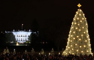 GWB: 2008 Lighting of the National Christmas Tree Ceremony.